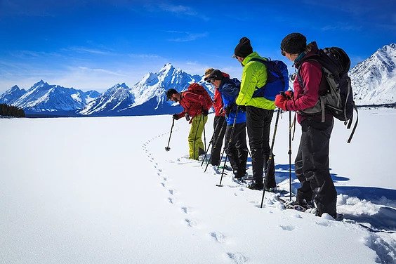 A group of cross country skiers examines snow prints in the Grand Tetons